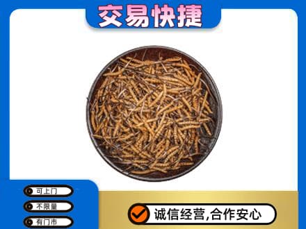 永善县高价回收散虫草